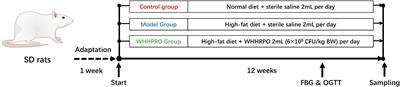 The supplementation of the multi-strain probiotics WHHPRO™ alleviates high-fat diet-induced metabolic symptoms in rats via gut-liver axis